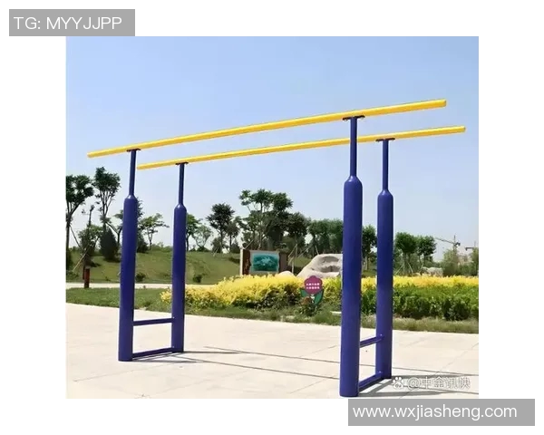 公园健身器材的多样化选择与健康生活方式的完美结合探讨